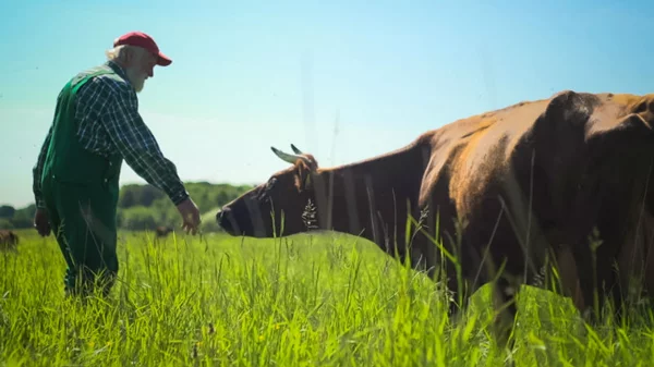 «Βιοδυναμικό» CineDoc